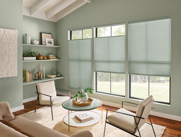 Motorized Window Shades in Healdsburg, Sonoma and Napa: A Homeowner's Guide — project detail